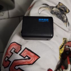 Gopro Charger And 2 Battery