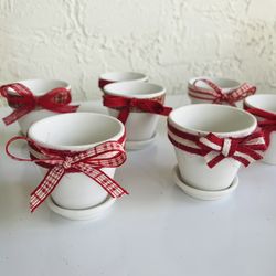 Christmas Terra Cotta Pots With Plant