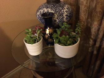 (2) white succulent big and small only for $20.00