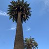 SunnyLA