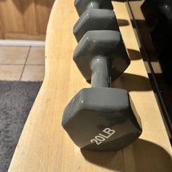 Heavy-Duty 20lb Dumbbells (Pair) – ALMOST NEW