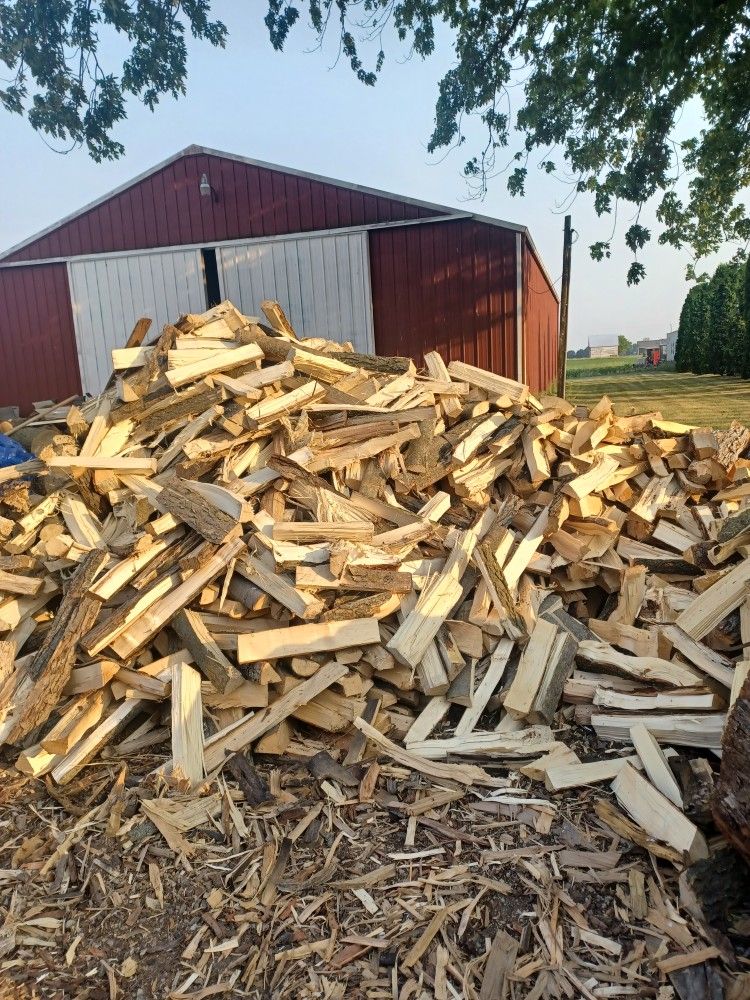 Firewood