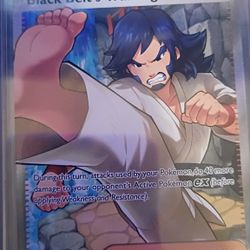 Pokemon Black Belts Training 255/217 Ascended Heroes