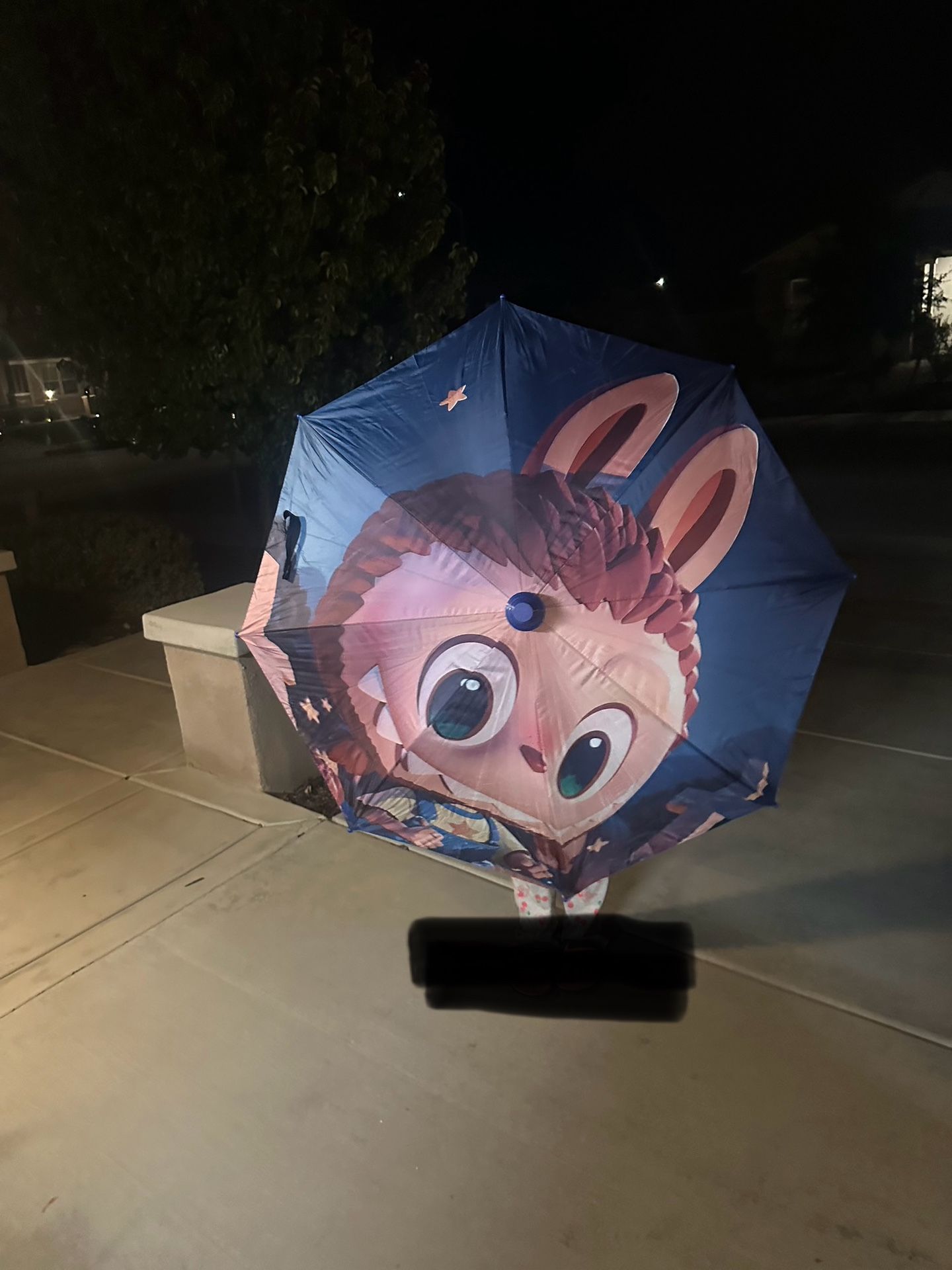 Kids Umbrellas $10 Each