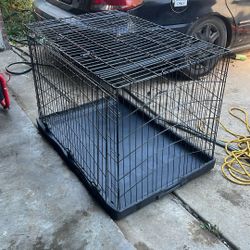 Big Dog Cage 