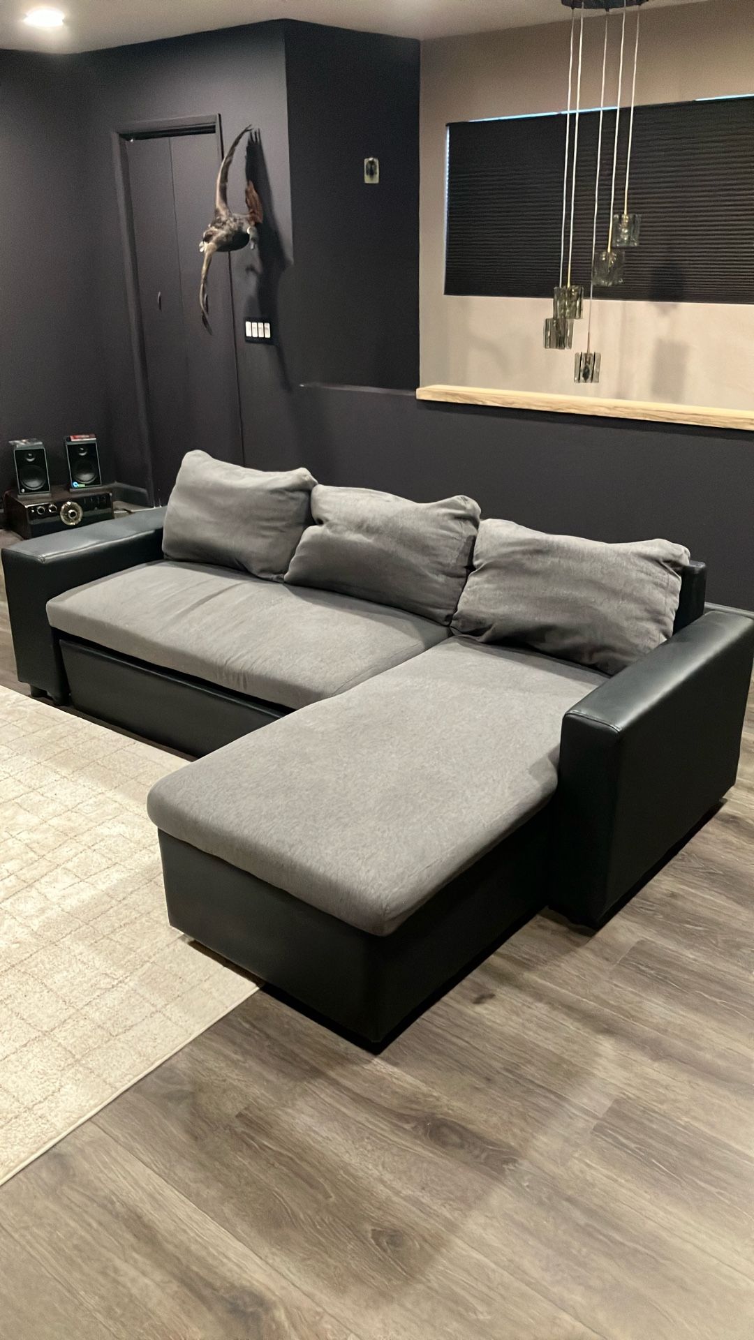 Sectional Fold Out Couch