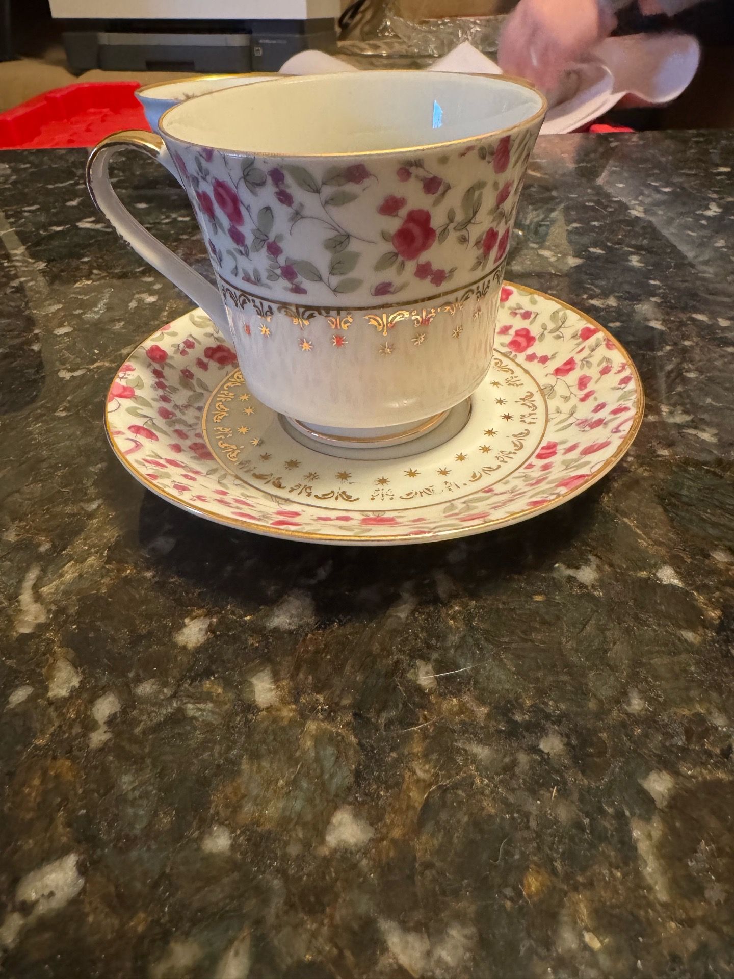 Floral Pattern Porcelain Cup & Saucer Set, Two-Piece White Pink Gold Green