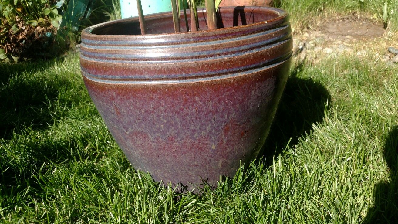 Beautiful ceramic pot with gladiolus.