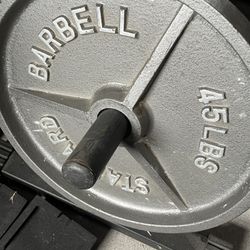 Standard 45 Lbs Steel Plates