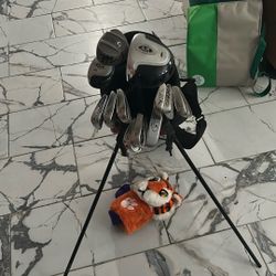 Gold Clubs And Bag