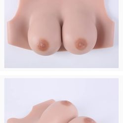 Breastplate/Prosthetic 