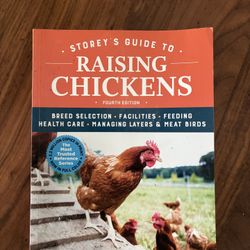 Chicken Book and Egg Stickers
