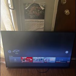 Insignia Fire TV (Remote not included)