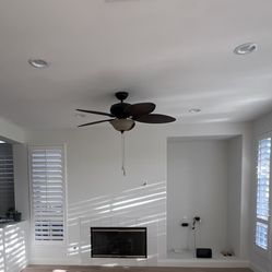 Ceiling fan
