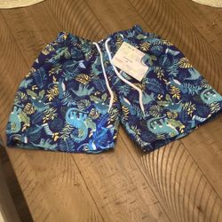 New Boy Swimming Shorts