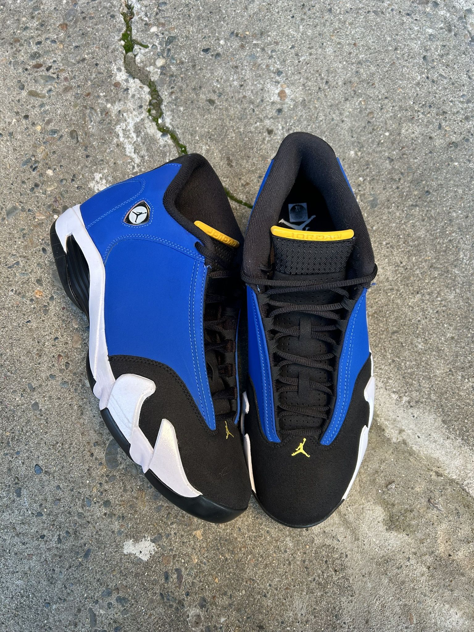 Laney Jordan 14s Size 12