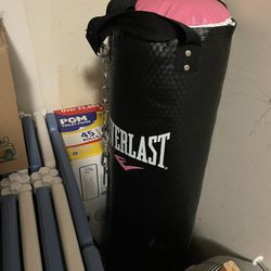 Punching Bag