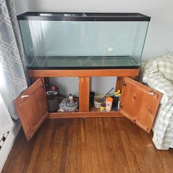 Fish Tank 