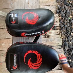 Impact Curved Hand Mitts, Leather Mitts for MMA, Kickboxing, Boxing, Muay Thai Punching Focus Mitts, Hand Target Pads for Kids, Men & Women (Pair)