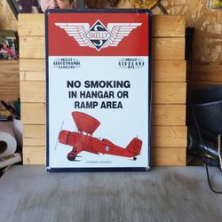 Cool Skelly No Smoking In Hanger 12"x18" Metal Sign 