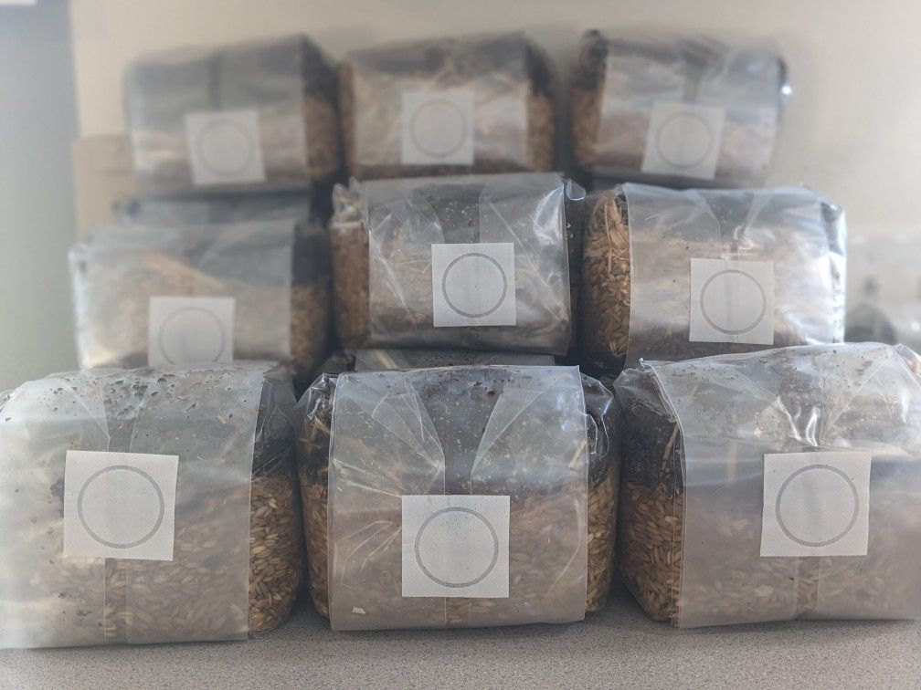 Grow Bag