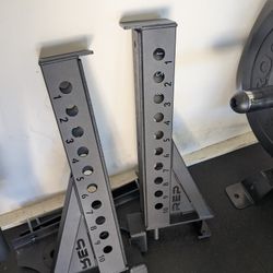 Rep Fitness PR-4000 Spotter Arms Attachment 