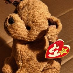 TY Beanie Babies " Fuzzy Dog"