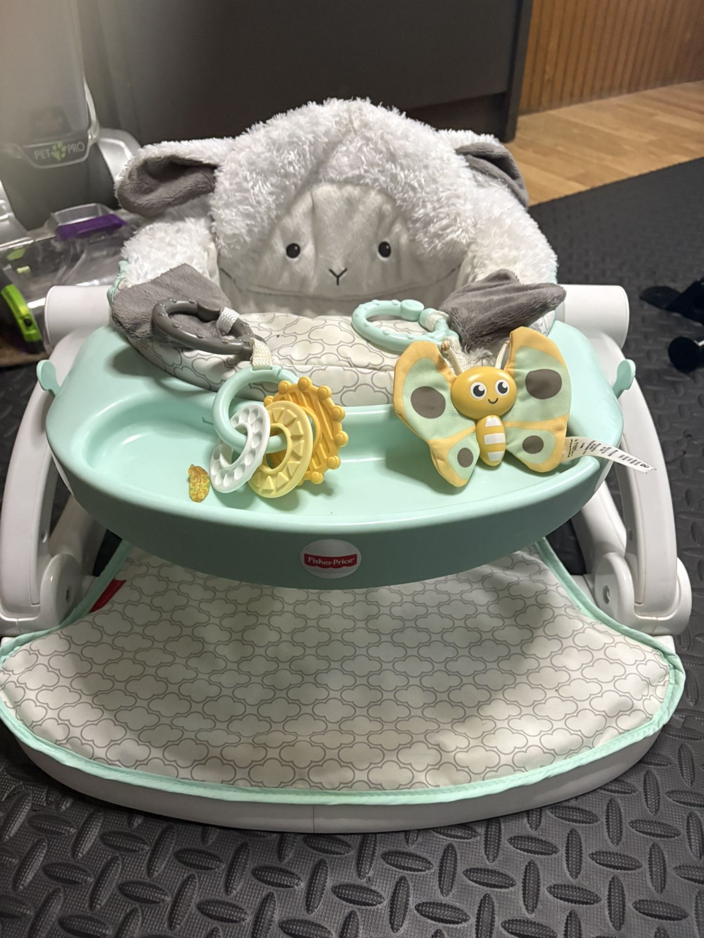 Baby Play Seat