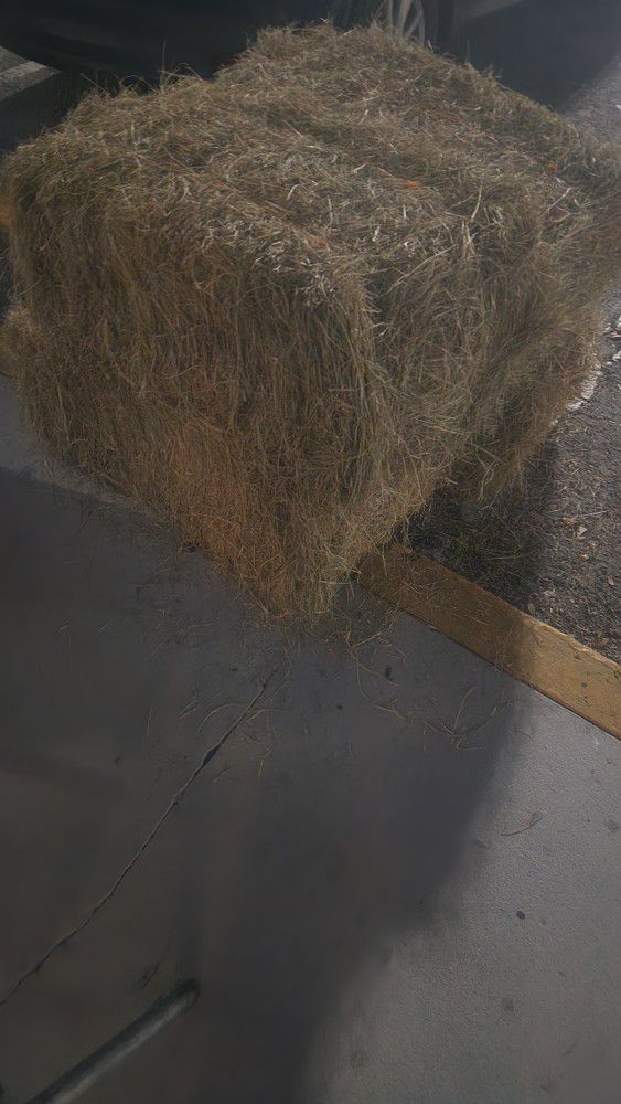 4 Bundles Of Hay