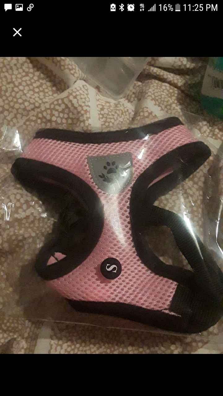 Dog collar small