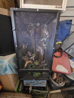Reptile Indoor Enclosure