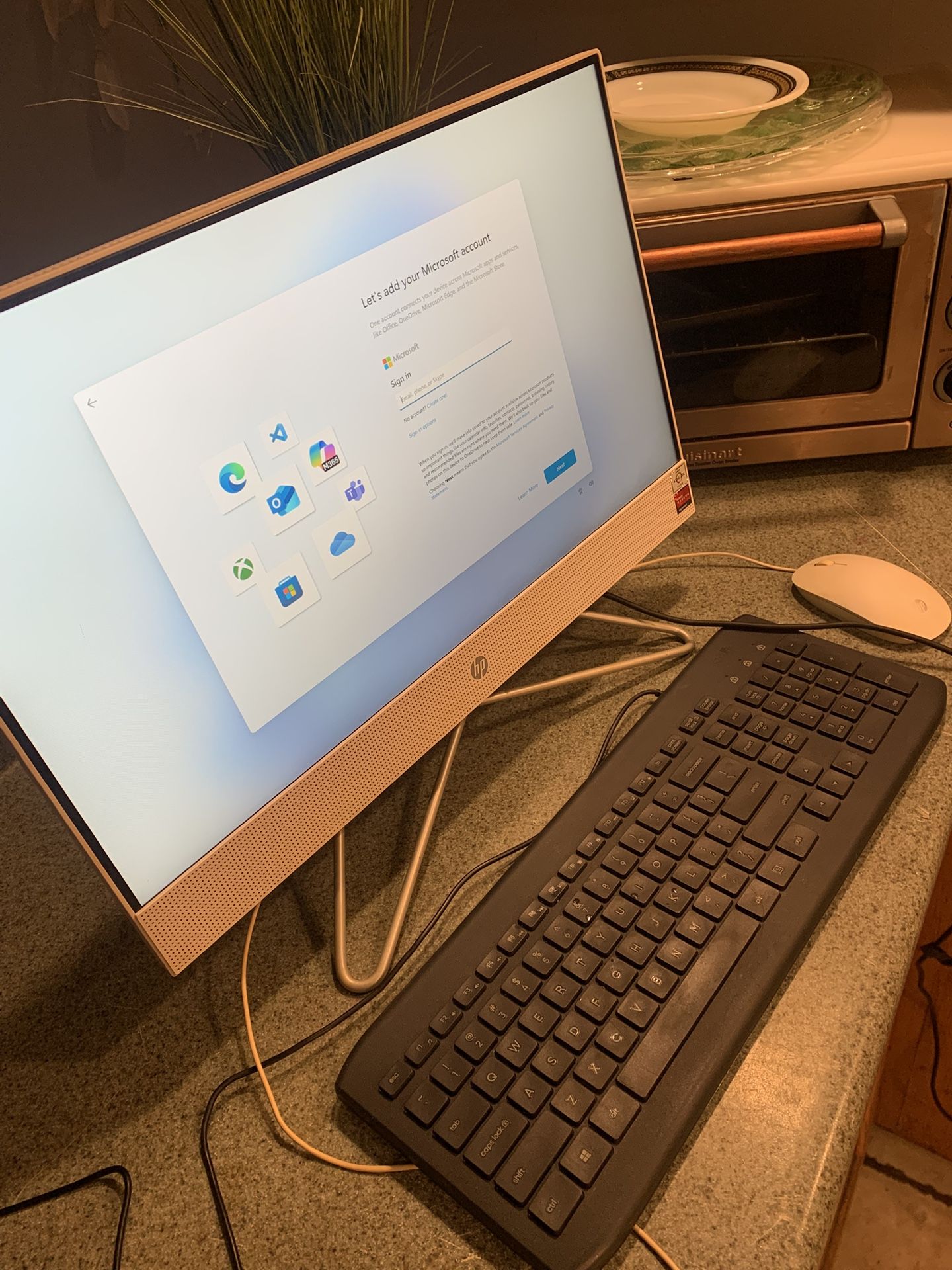HP all in one computer