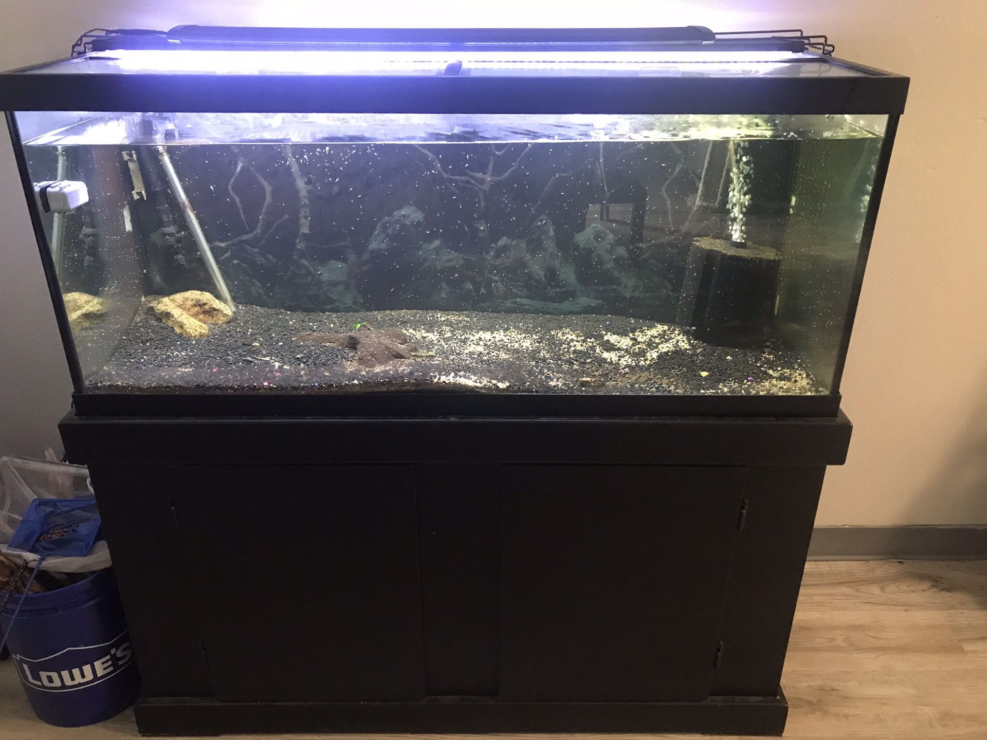 75 gallon fish tank and stand