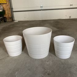 Ceramic Plant