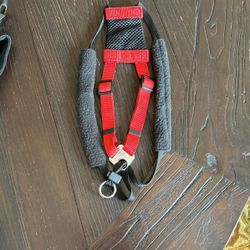 Dog Harness