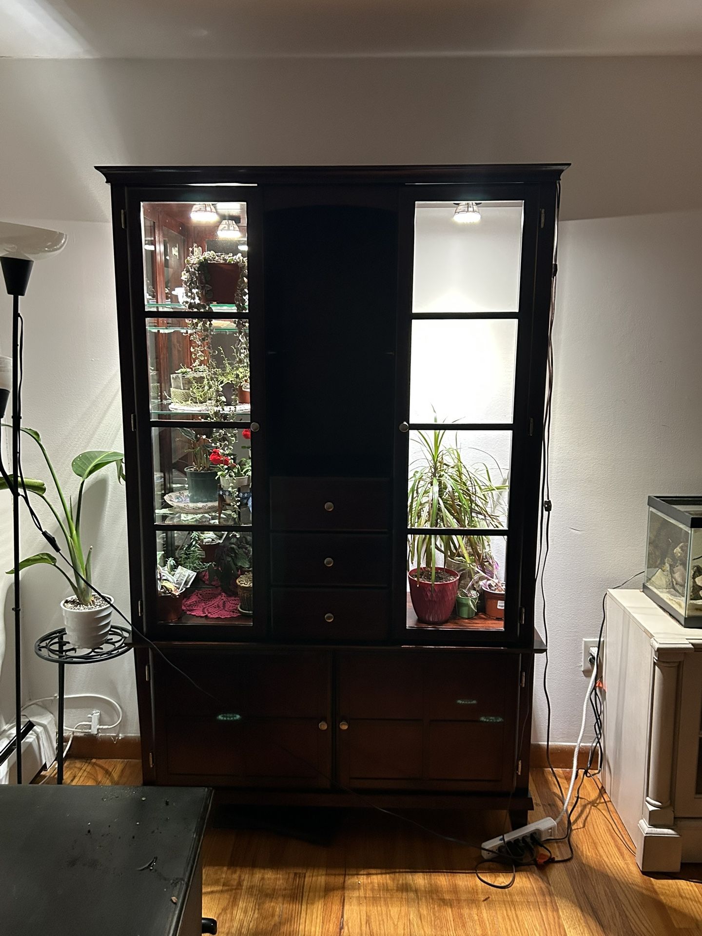 China Cab/ Plant Cabinet