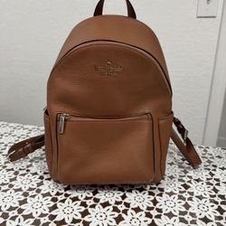 Brown Back pack