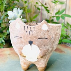 Super Cute Pottery Succulent Garden Pot And Plant
