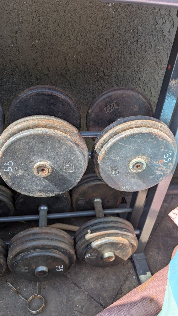 55lb Dumbbells