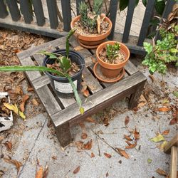 Plant Stand