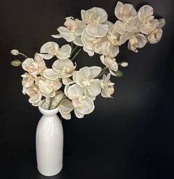 White Porcelain Microwave Safe Sake Bottle Or Bud Vase Decor