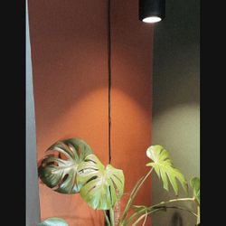 LED Pendant Grow Light 