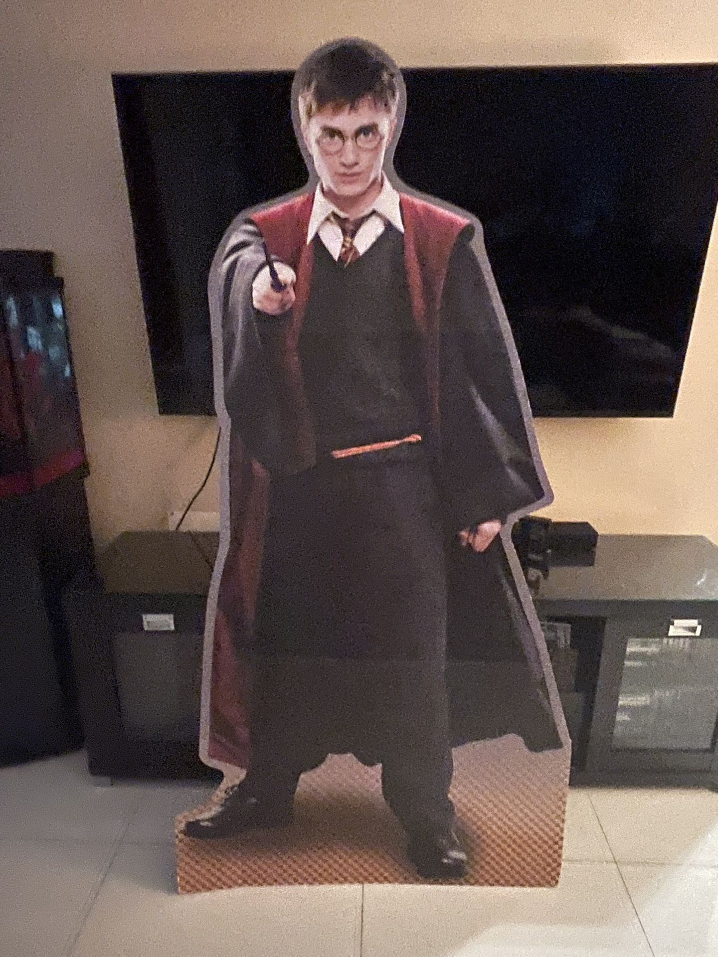 Harry Potter Life Size Cardboard Cutout Standup