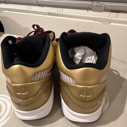 Nike Kobe 5 Gold Medal USA