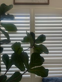 NEW In box  Norman Plantation Shutters – 58” x 58” – Silk White