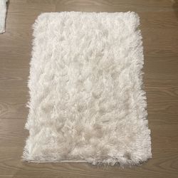 NEW SAFAVIEH Handmade Paris Shag Danara 2.5-inch Thick Area Rug Champagne Color 2 x 3 feet