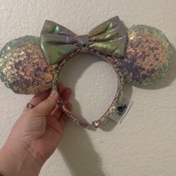 Disney Ears 
