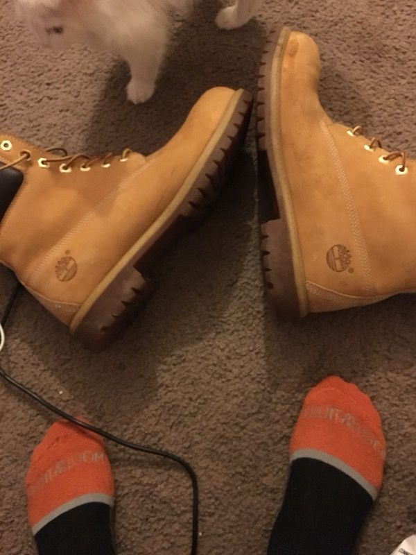 Timberlands size 11