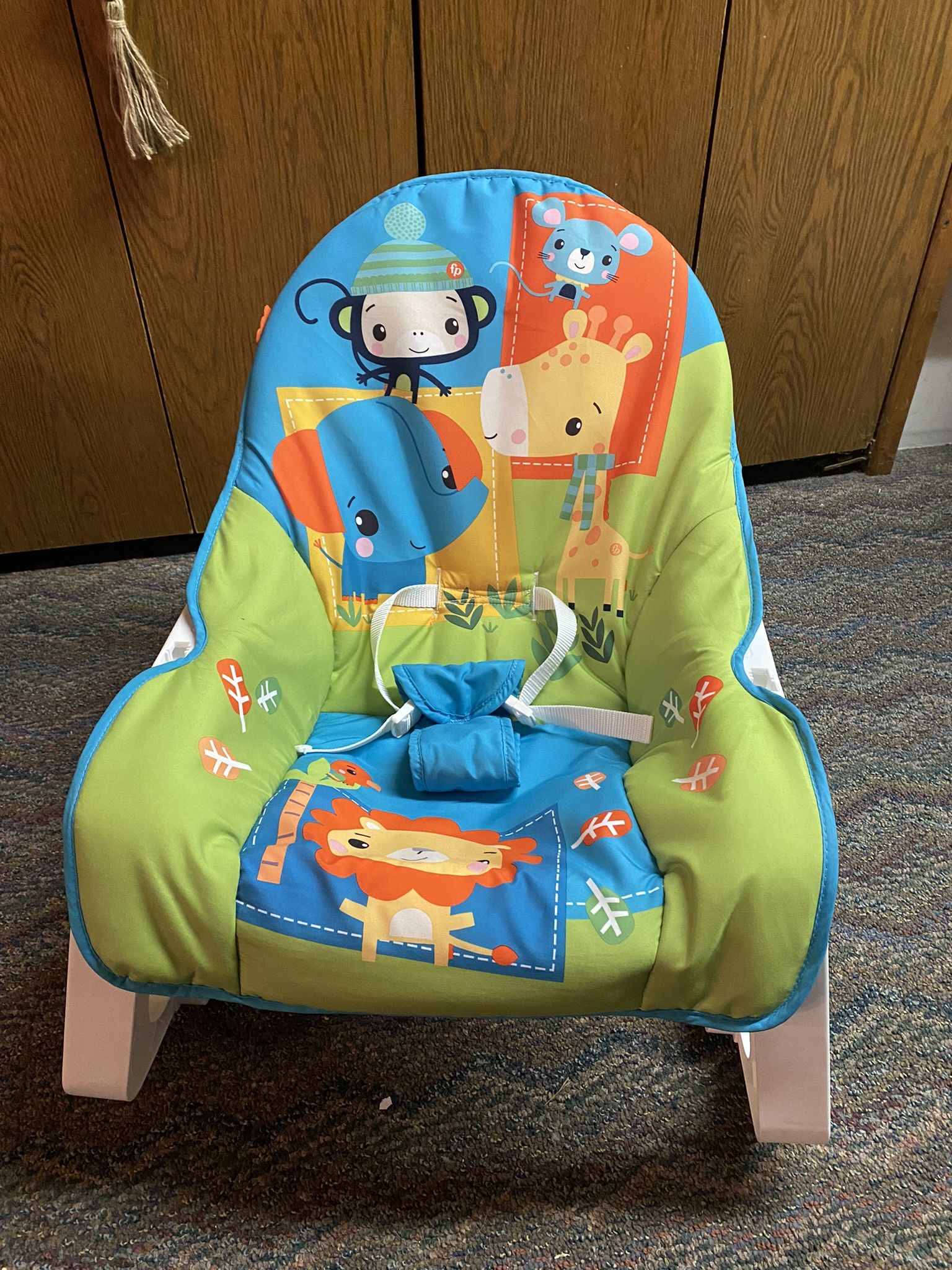 Fisher Price Infant to Toddler Seat