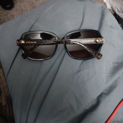 Coach Sunglasses 